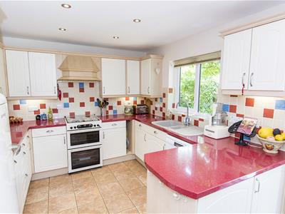 Kitchen Photo